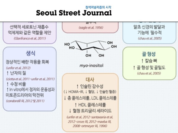 이노시톨의 효능 (사진출처=naver blog 리틀약사닷컴)