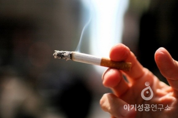 Y염색체의 비밀