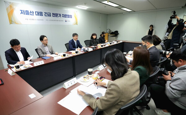 3월 3일 열린 보건복지부 주최 '저출산 대응 긴급 전문가 자문회의' 모습. 보건복지부 제공