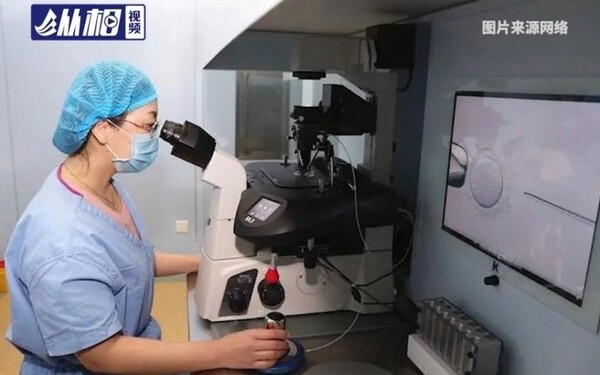 “시험관아기 생존율 두 배”… 中, PIMS 기술 개발