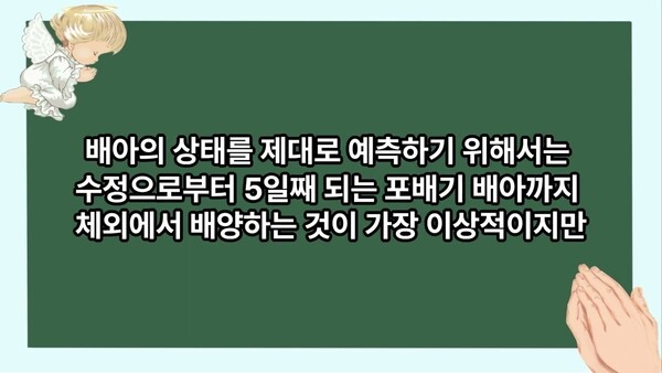 시험관아기시술에서 2일 배양 이식을 하는 이유