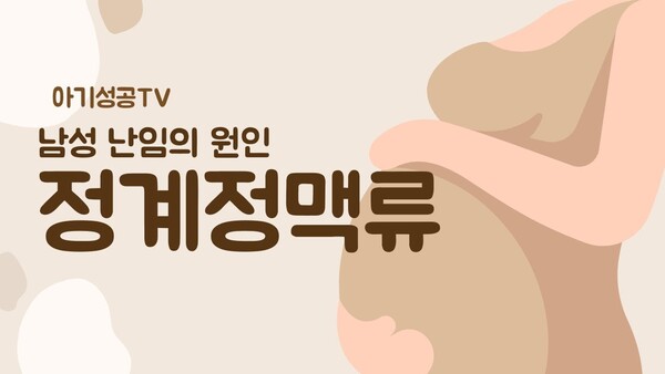 남성 난임의 원인, 정계정맥류