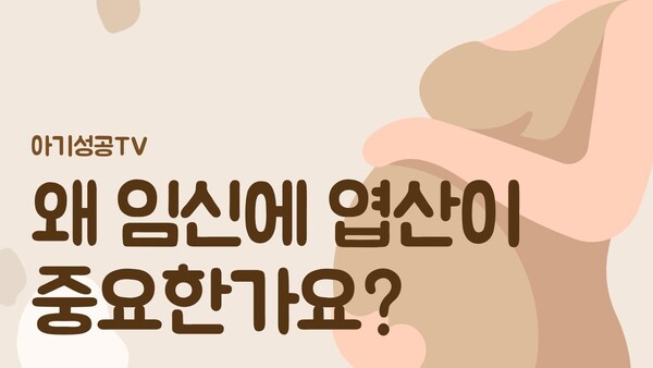 왜 임신에 엽산이 중요한가요?