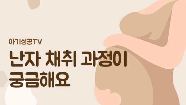 난자 채취 과정이 궁금해요