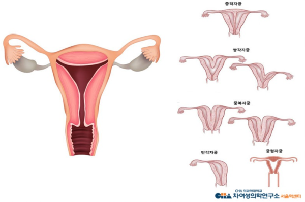 차의학연구소 서울역센터 제공