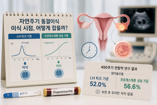 AI 생성 (ChatGPT, OpenAI) 이미지로 기사의 이해를 돕기 위한 참고용 시각 자료입니다.