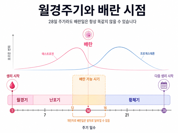 AI 생성 (ChatGPT, OpenAI) 이미지로 기사의 이해를 돕기 위한 참고용 시각 자료입니다.